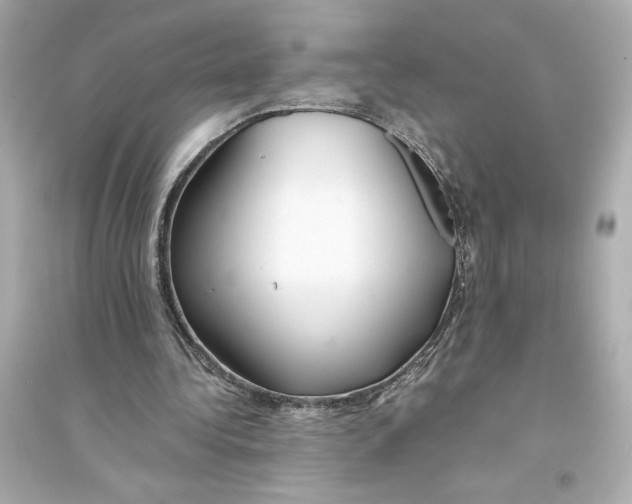 X0000093570340200711121042