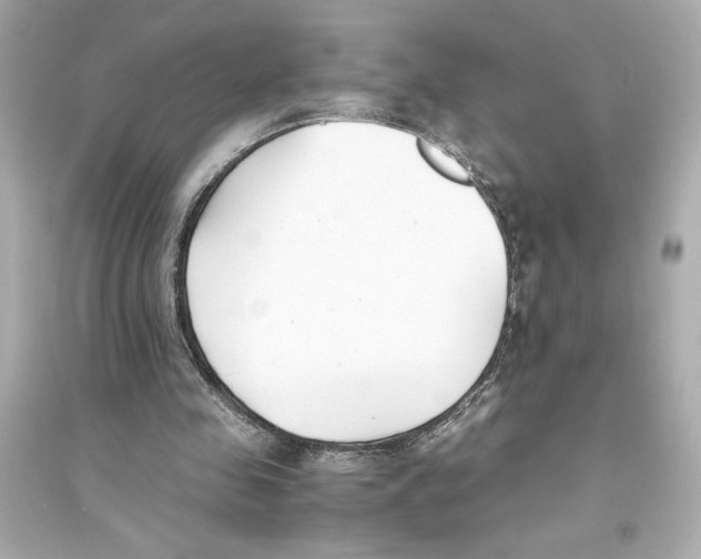 X0000093570341200711121042