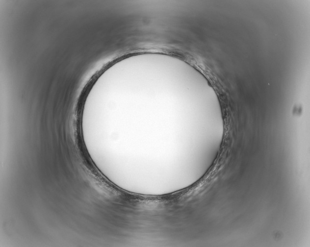 X0000093570342200711121042