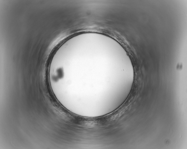 X0000093570344200711121042