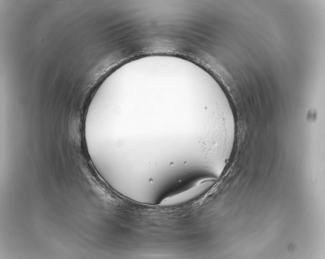X0000093570345200711121042