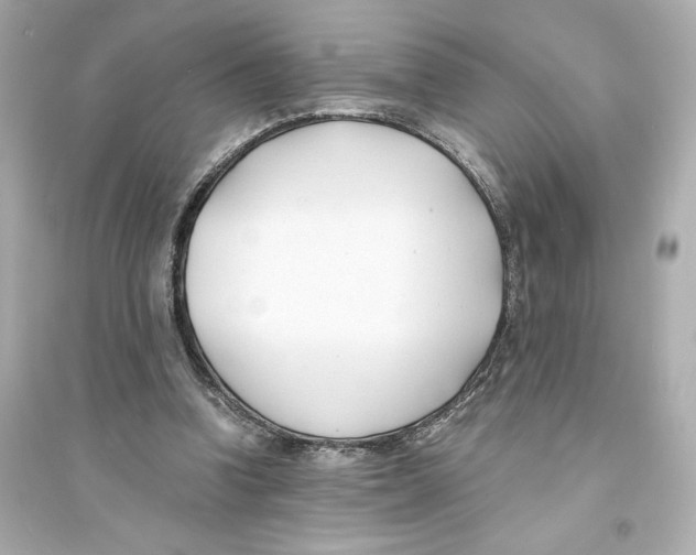 X0000093570346200711121042