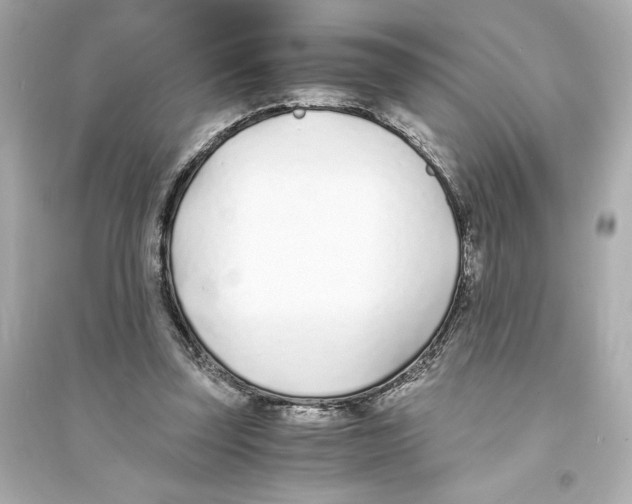 X0000093570347200711121042
