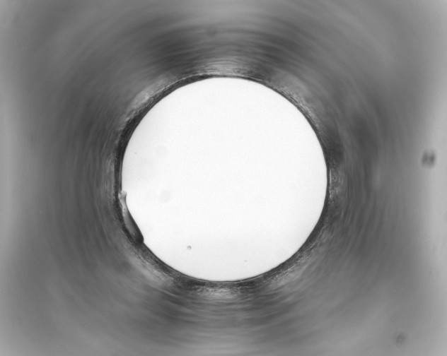 X0000093570349200711121042