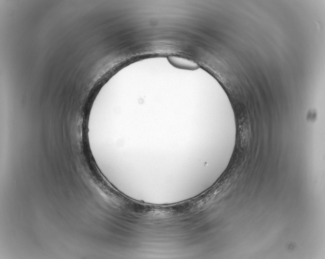 X0000093570350200711121042