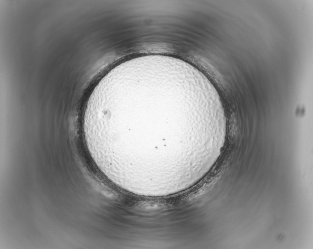 X0000093570351200711121042