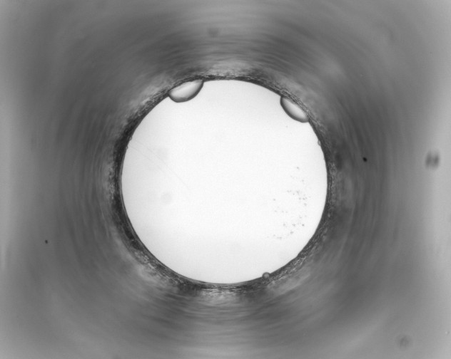 X0000093570354200711121042