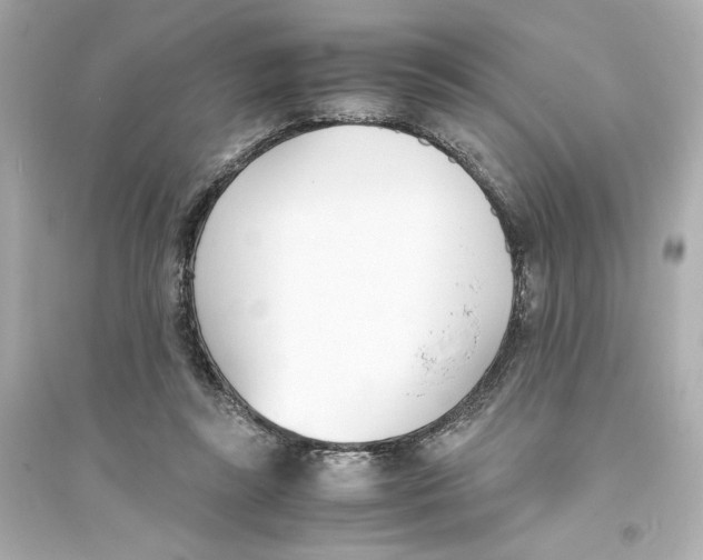 X0000093570355200711121042