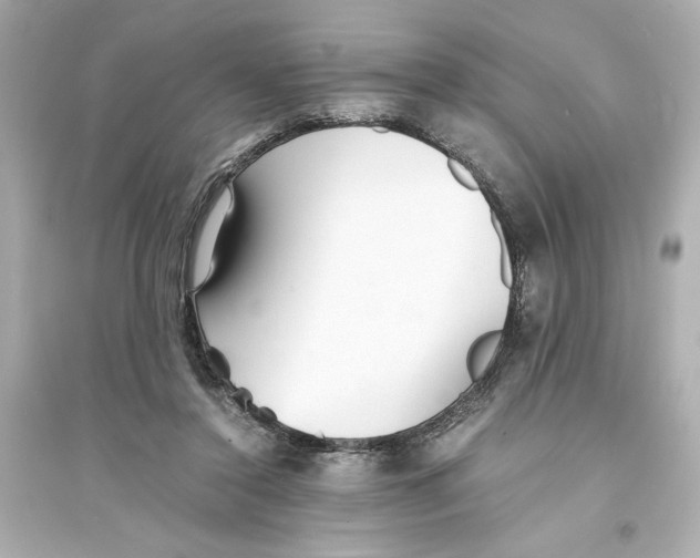 X0000093570356200711121042