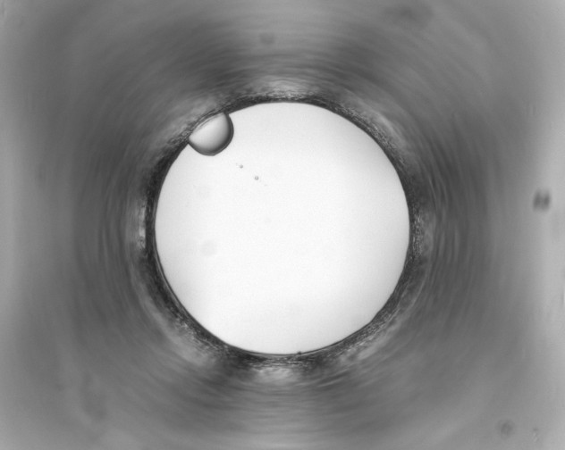 X0000093570358200711121042