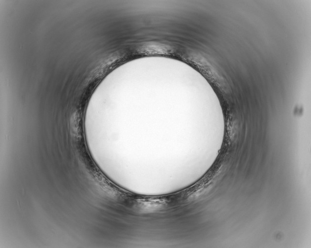 X0000093570359200711121042