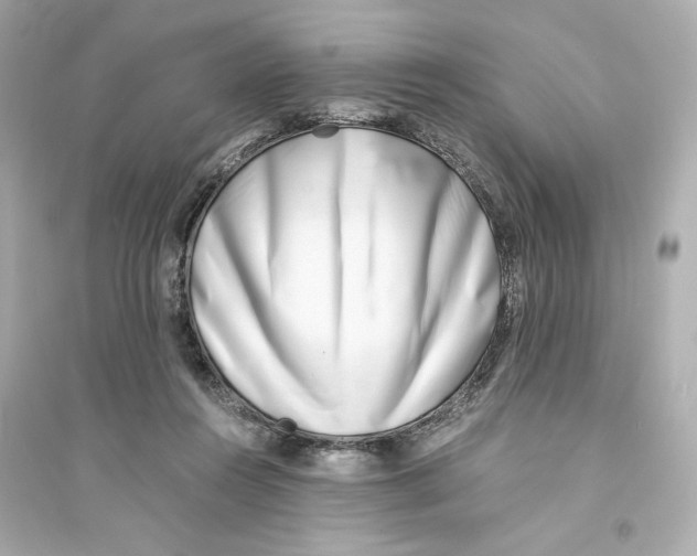 X0000093570360200711121042