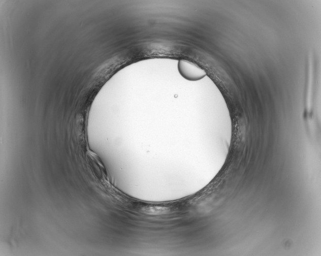 X0000093570361200711121042