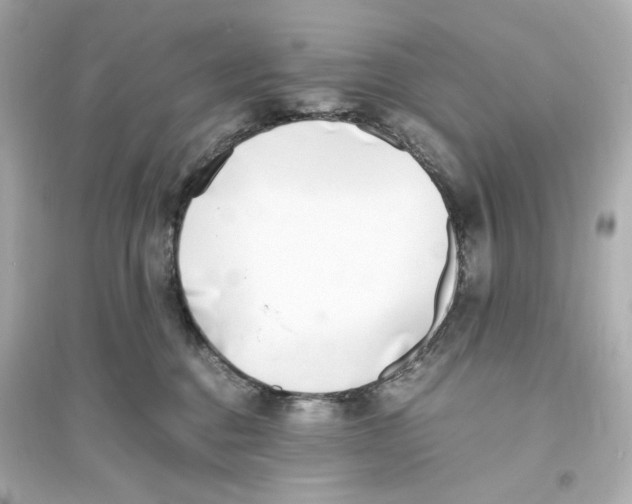 X0000093570376200711121043
