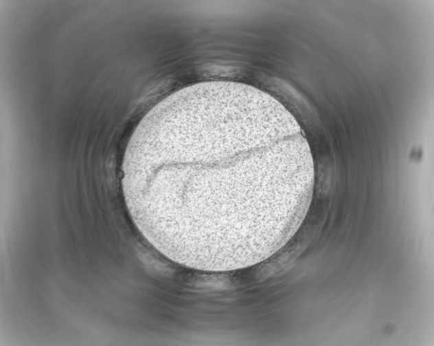 X0000093570377200711121043