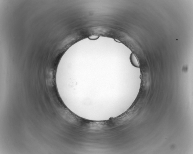 X0000093570378200711121043