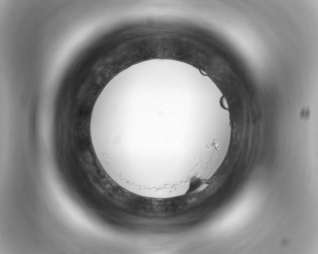 X0000093570383200711121043