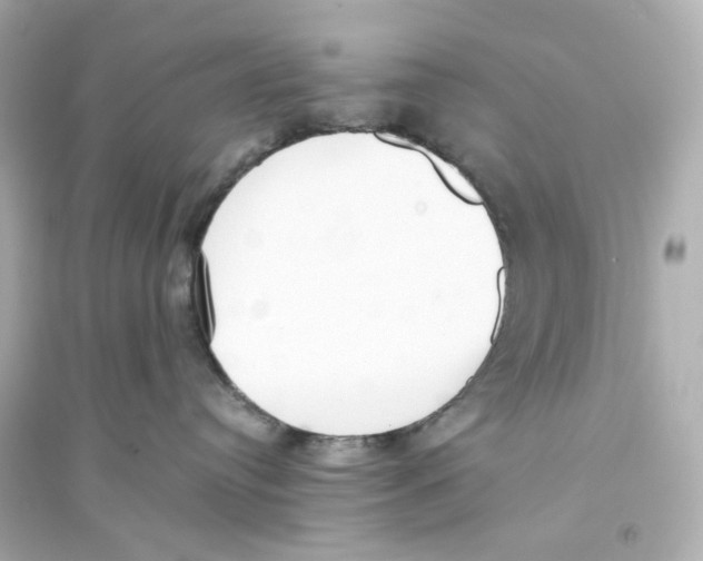 X0000093570384200711121043