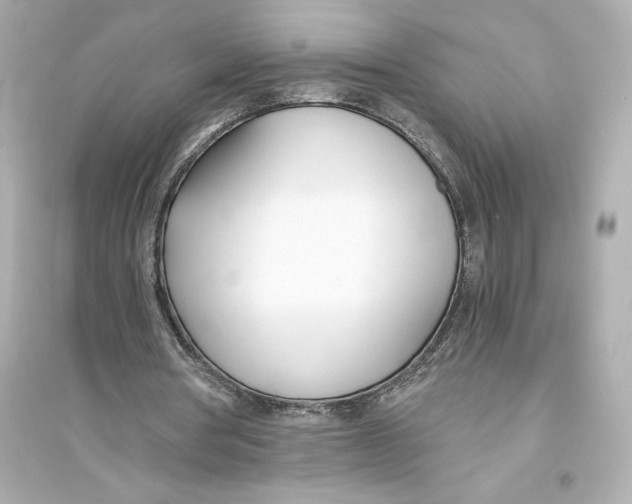 X0000093570386200711121042