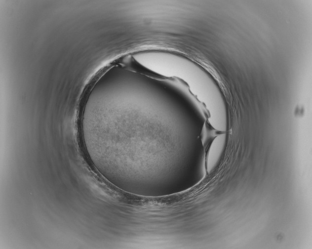 X0000093570387200711121042