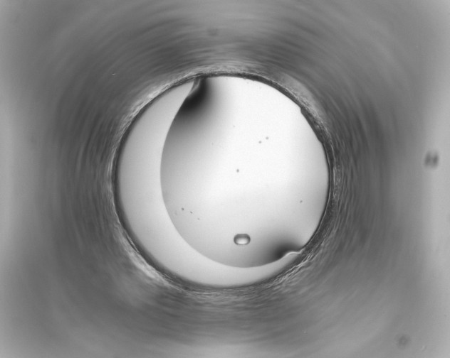 X0000093570389200711121042