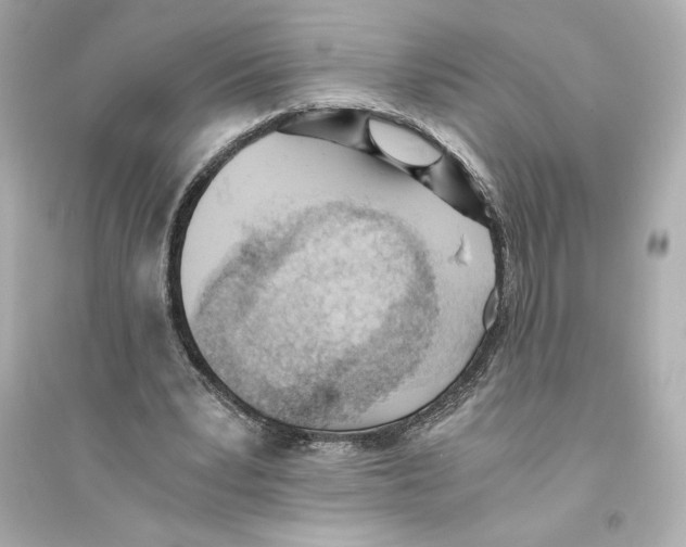 X0000093570391200711121042