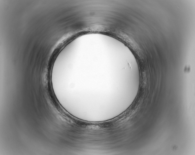 X0000093570392200711121042