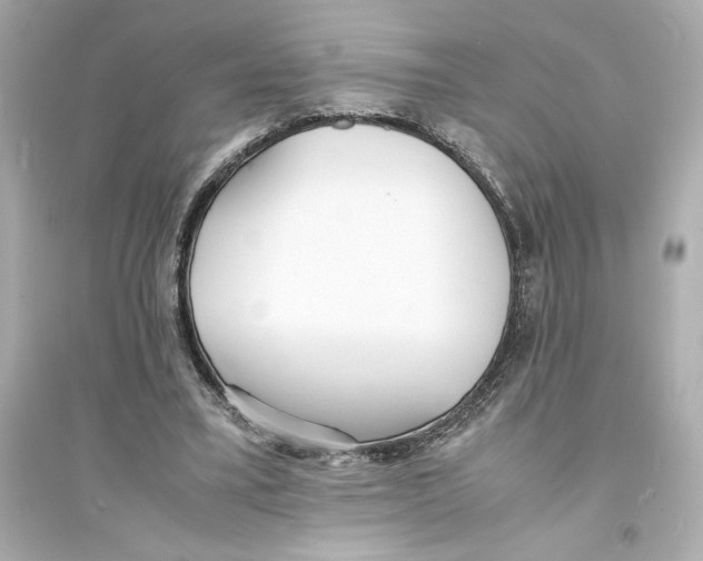 X0000093570395200711121042