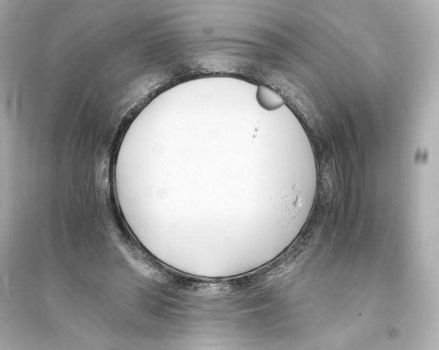 X0000093570398200711121042