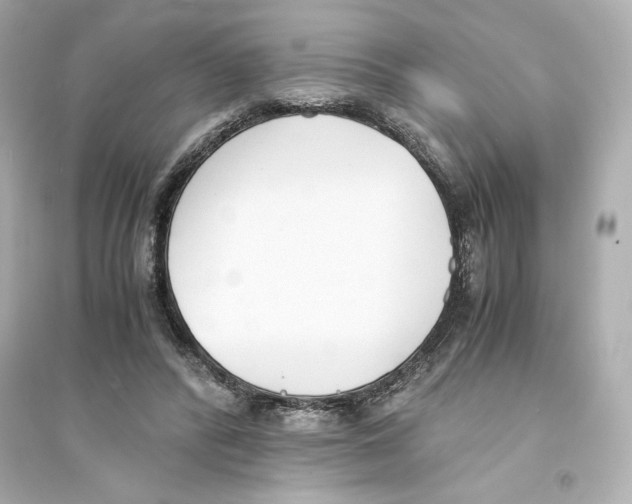 X0000093570400200711121042