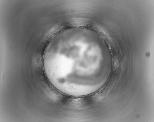 X0000093570411200711121042
