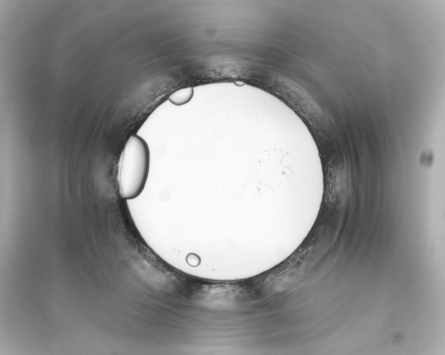 X0000093570414200711121042