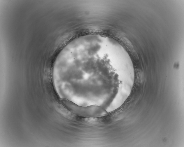 X0000093570419200711121041