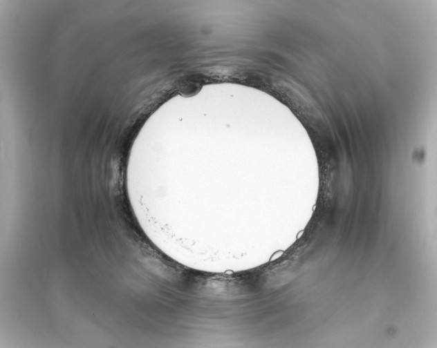 X0000093570420200711121041