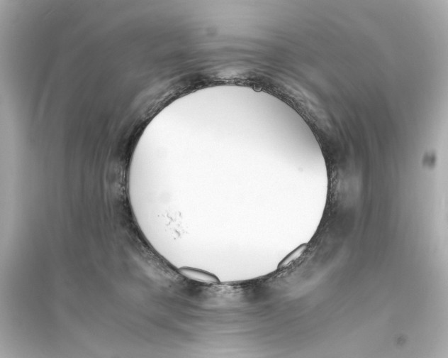 X0000093570421200711121041