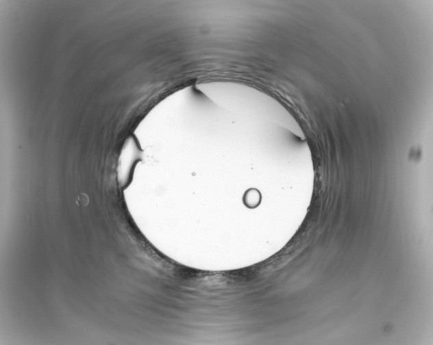X0000093570423200711121041
