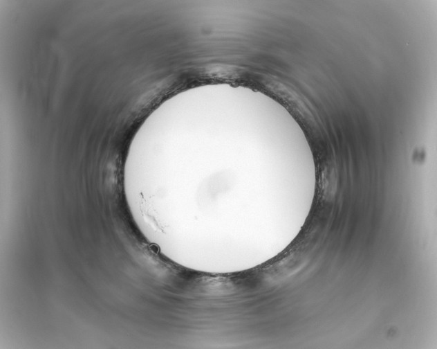 X0000093570424200711121041