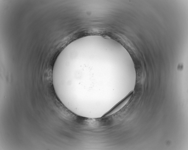 X0000093570425200711121041