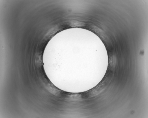 X0000093570426200711121041