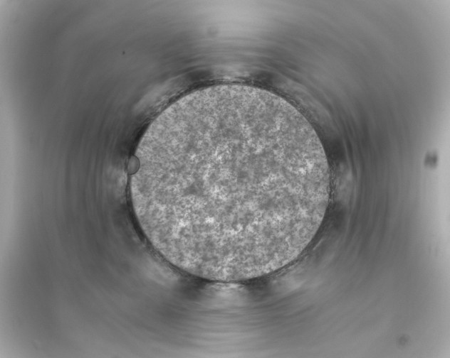 X0000093570427200711121041