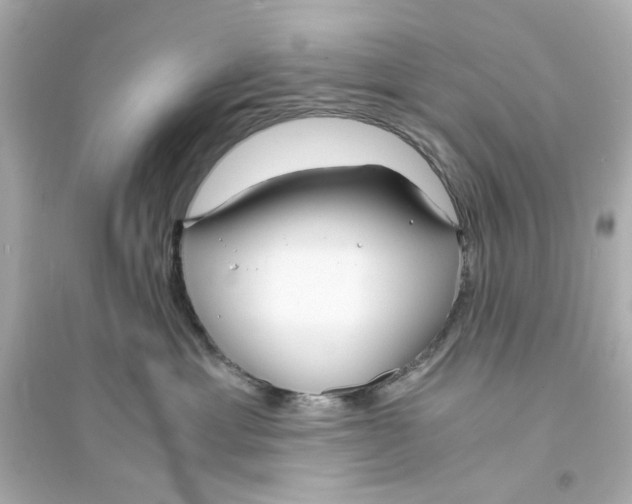 X0000093570429200711121041
