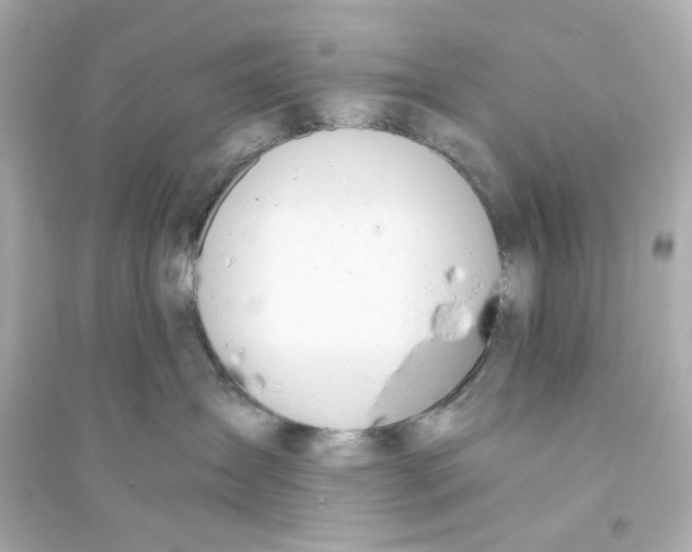 X0000093570431200711121041