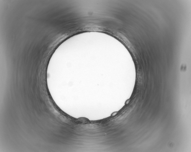 X0000093570433200711121041