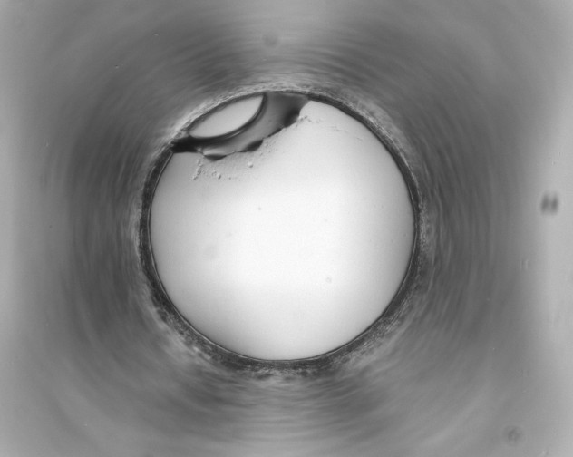 X0000093570434200711121041