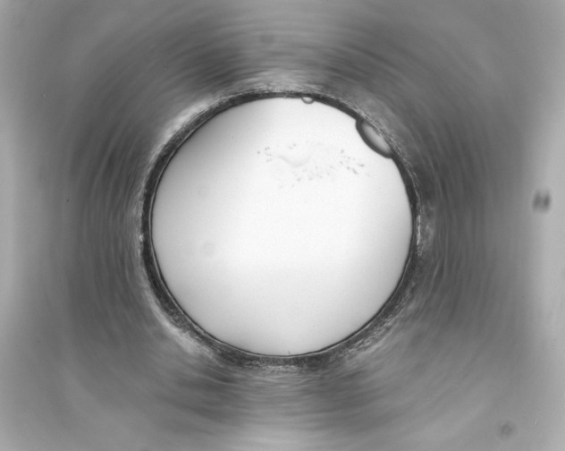 X0000093570438200711121041