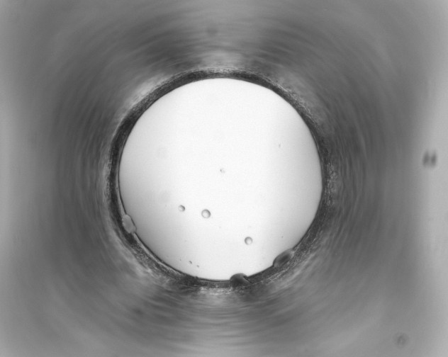 X0000093570440200711121041
