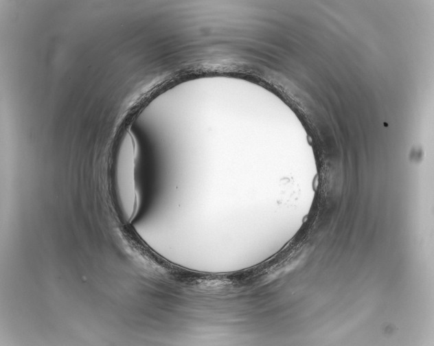 X0000093570446200711121041