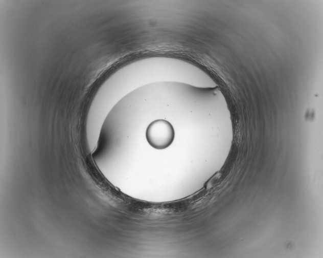 X0000093570448200711121041