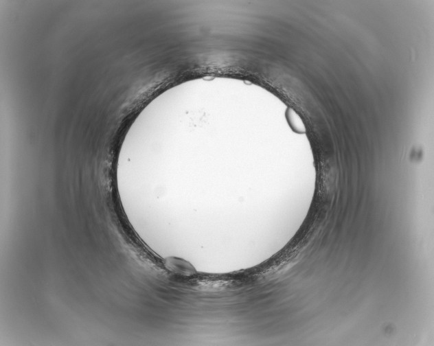 X0000093570450200711121041