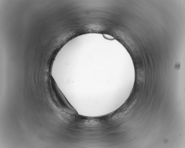 X0000093570451200711121041